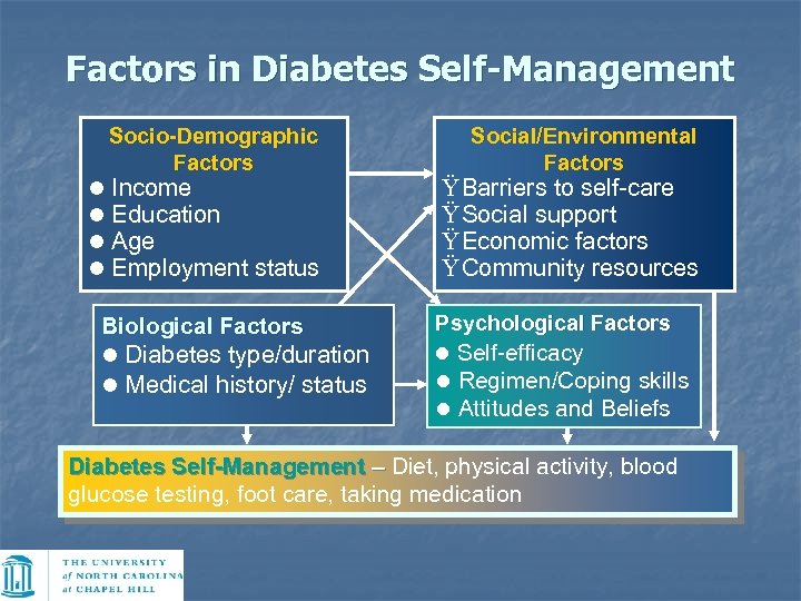 Factors in Diabetes Self-Management Socio-Demographic Factors l l Income Education Age Employment status Biological