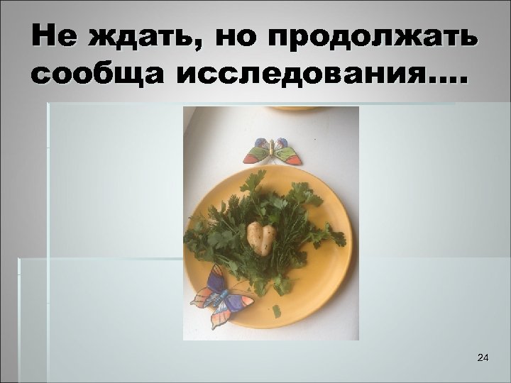 Не ждать, но продолжать сообща исследования…. 24 