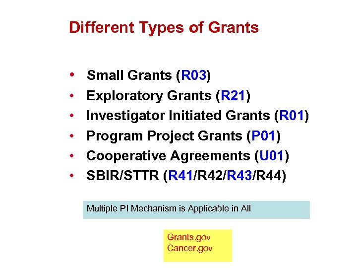 Different Types of Grants • Small Grants (R 03) • • • Exploratory Grants