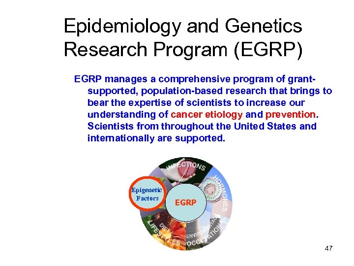Epidemiology and Genetics Research Program (EGRP) EGRP manages a comprehensive program of grantsupported, population-based
