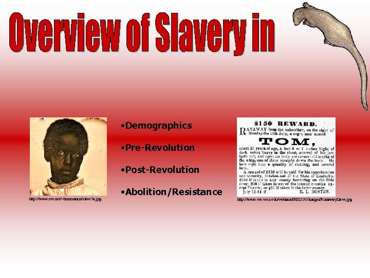  • Demographics • Pre-Revolution • Post-Revolution http: //www. rev. net/~hmcmanus/slave 7 a. jpg