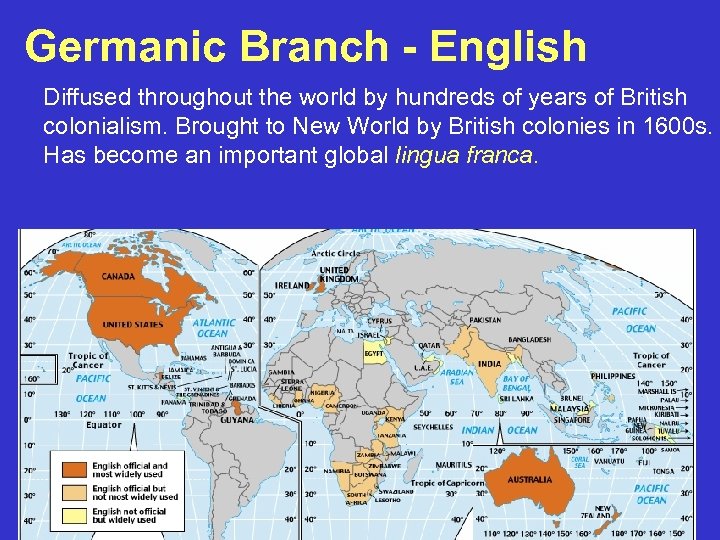 Germanic Branch - English Diffused throughout the world by hundreds of years of British
