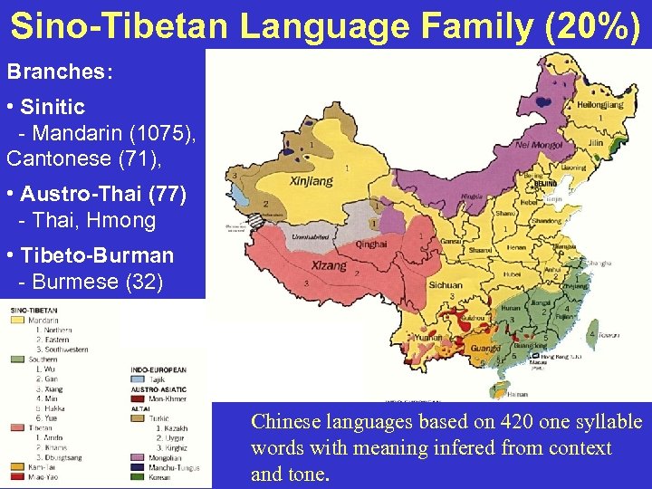Sino-Tibetan Language Family (20%) Branches: • Sinitic - Mandarin (1075), Cantonese (71), • Austro-Thai
