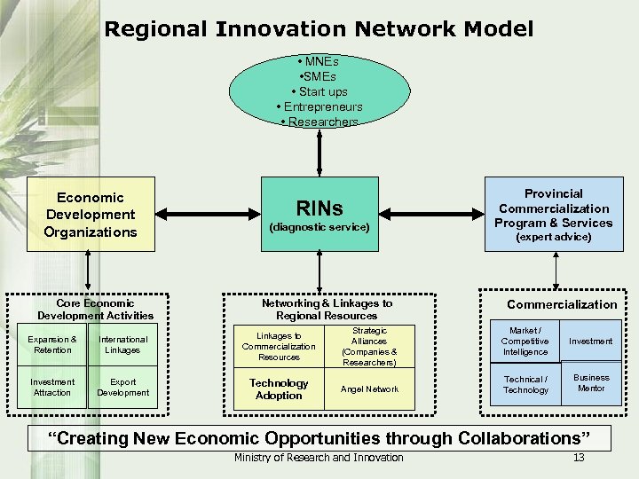 Regional Innovation Network Model • MNEs • SMEs • Start ups • Entrepreneurs •