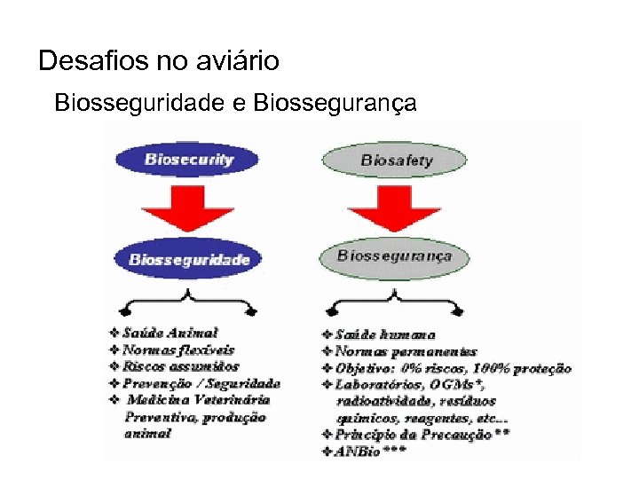 Desafios no aviário Biosseguridade e Biossegurança 
