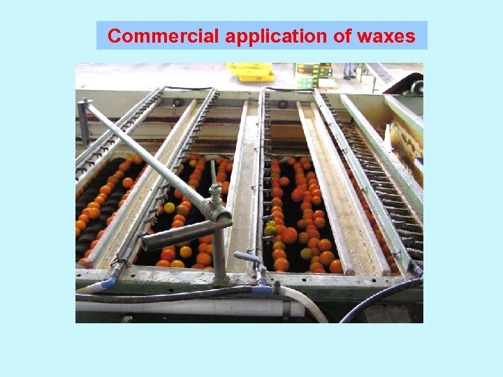 Commercial application of waxes 