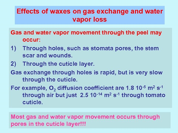 Effects of waxes on gas exchange and water vapor loss Gas and water vapor