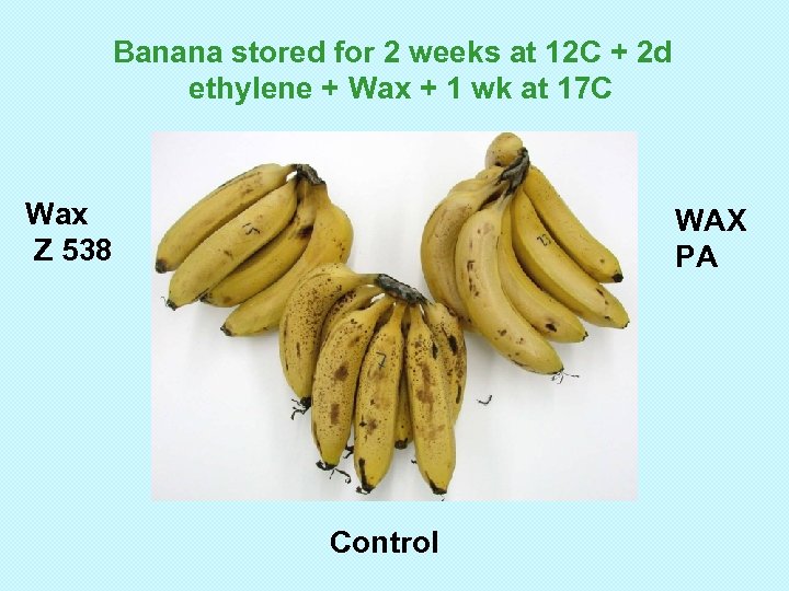 Banana stored for 2 weeks at 12 C + 2 d ethylene + Wax