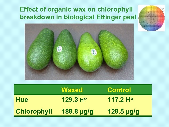 Effect of organic wax on chlorophyll breakdown in biological Ettinger peel Hue Waxed 129.