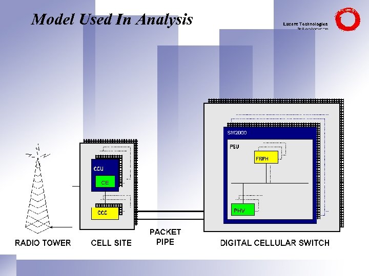 Model Used In Analysis 