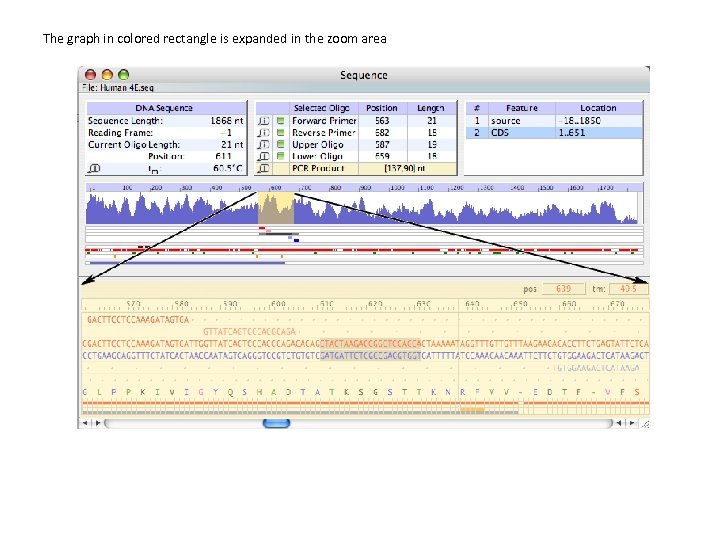 The graph in colored rectangle is expanded in the zoom area 