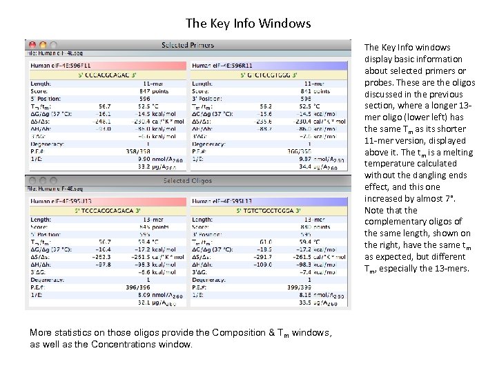 The Key Info Windows The Key Info windows display basic information about selected primers