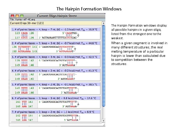 The Hairpin Formation Windows The Hairpin Formation windows display all possible hairpins in a