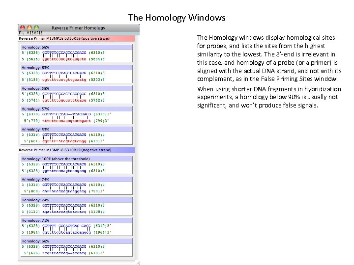 The Homology Windows The Homology windows display homological sites for probes, and lists the