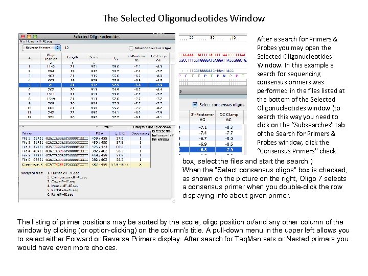 The Selected Oligonucleotides Window After a search for Primers & Probes you may open