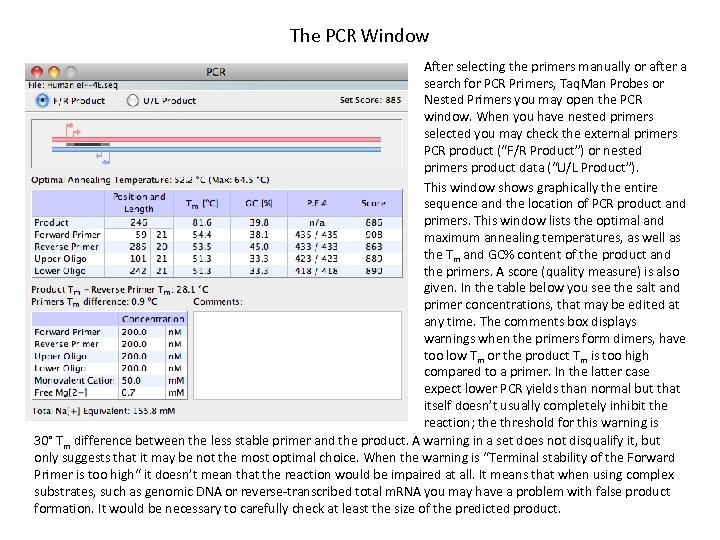 The PCR Window After selecting the primers manually or after a search for PCR