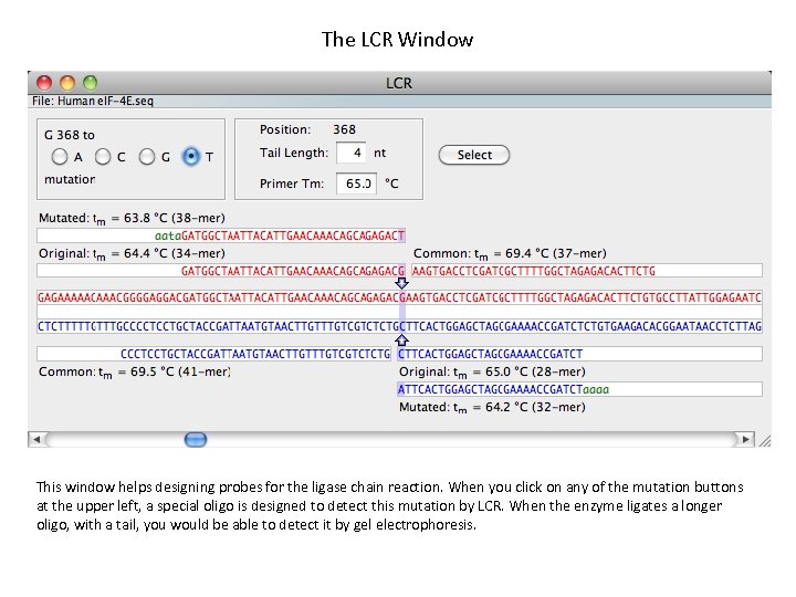 The LCR Window This window helps designing probes for the ligase chain reaction. When