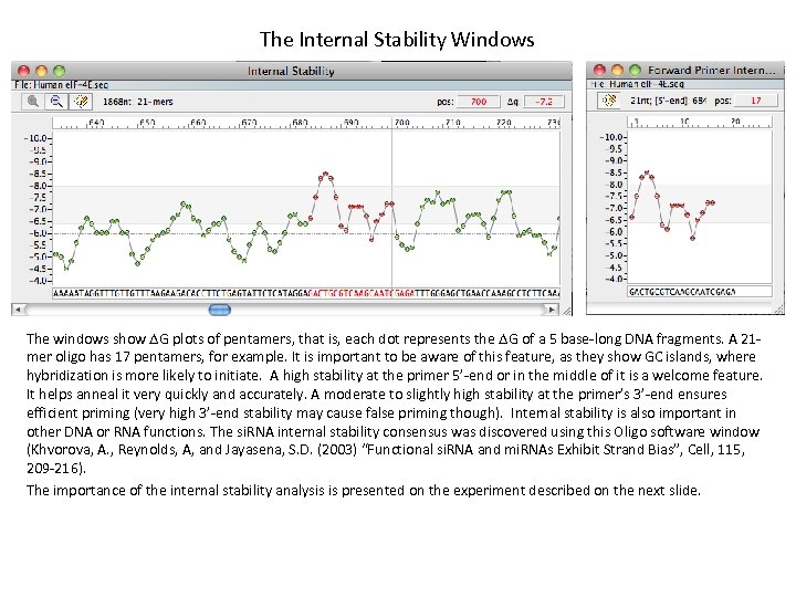 The Internal Stability Windows The windows show DG plots of pentamers, that is, each