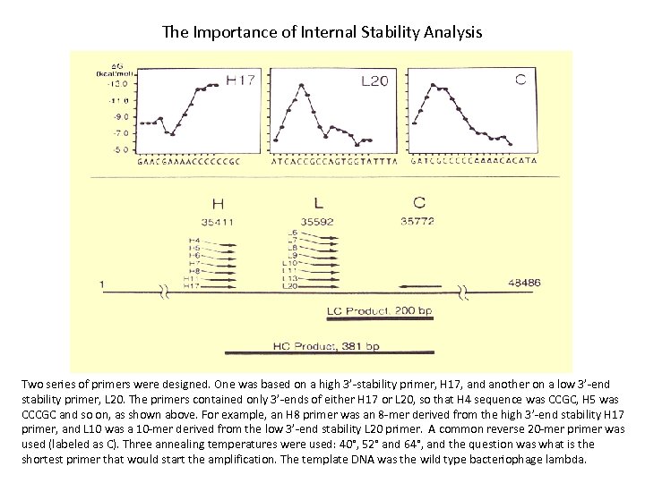 The Importance of Internal Stability Analysis Two series of primers were designed. One was