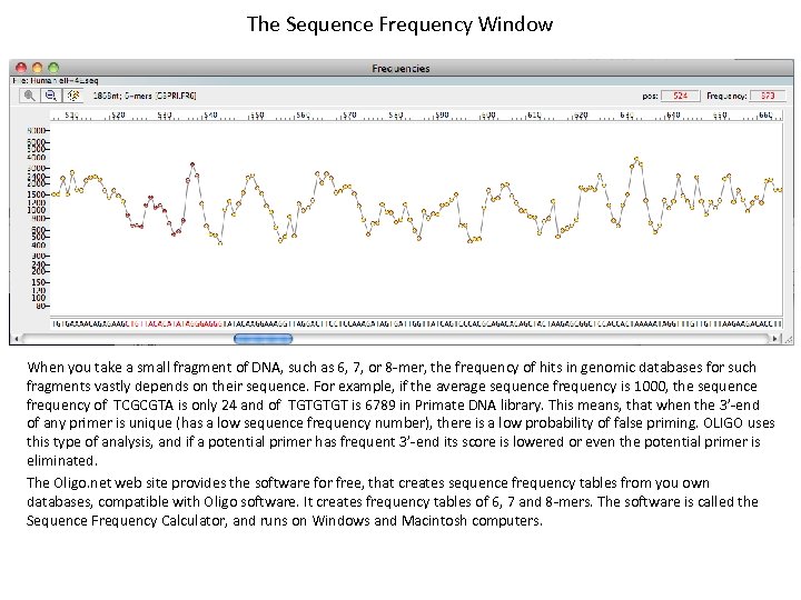 The Sequence Frequency Window When you take a small fragment of DNA, such as