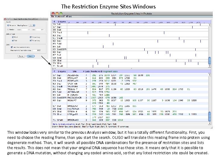 The Restriction Enzyme Sites Windows This window looks very similar to the previous Analysis