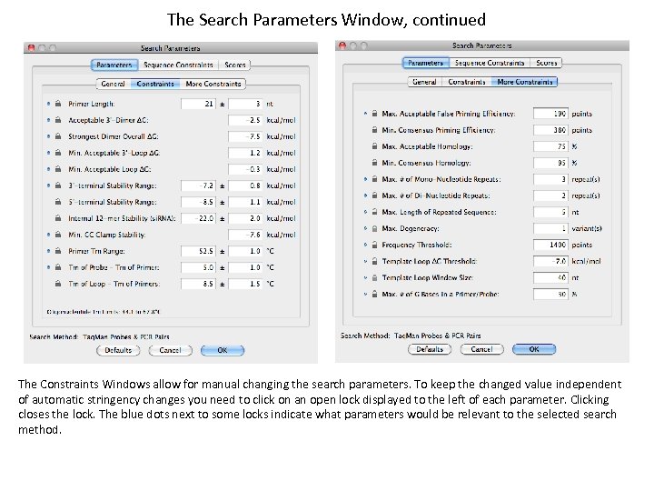 The Search Parameters Window, continued The Constraints Windows allow for manual changing the search