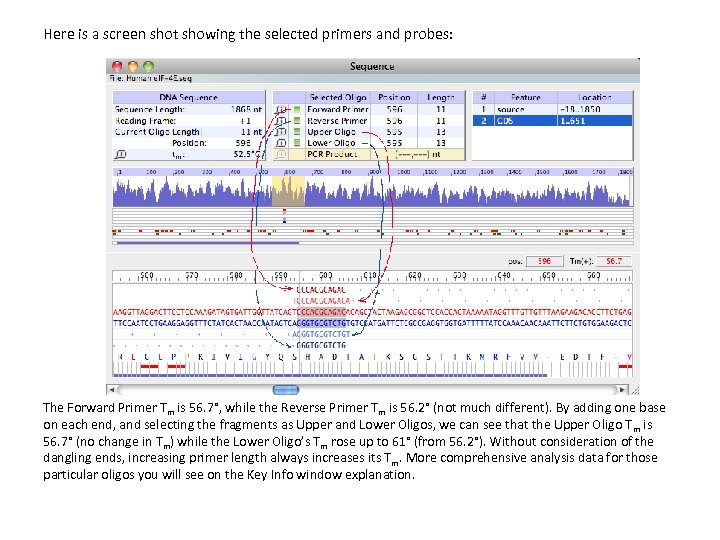 Here is a screen shot showing the selected primers and probes: The Forward Primer