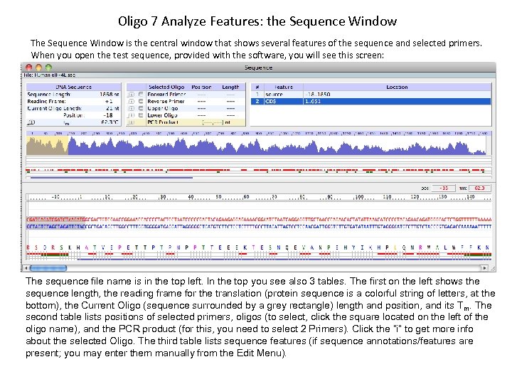 Oligo 7 Analyze Features: the Sequence Window The Sequence Window is the central window