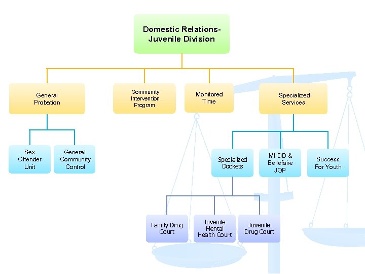 Domestic Relations. Juvenile Division Community Intervention Program General Probation Sex Offender Unit General Community
