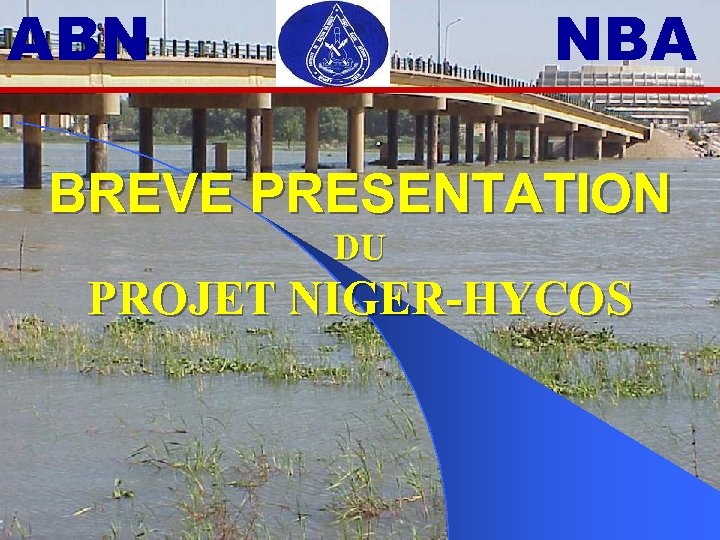 ABN NBA BREVE PRESENTATION DU PROJET NIGER-HYCOS 