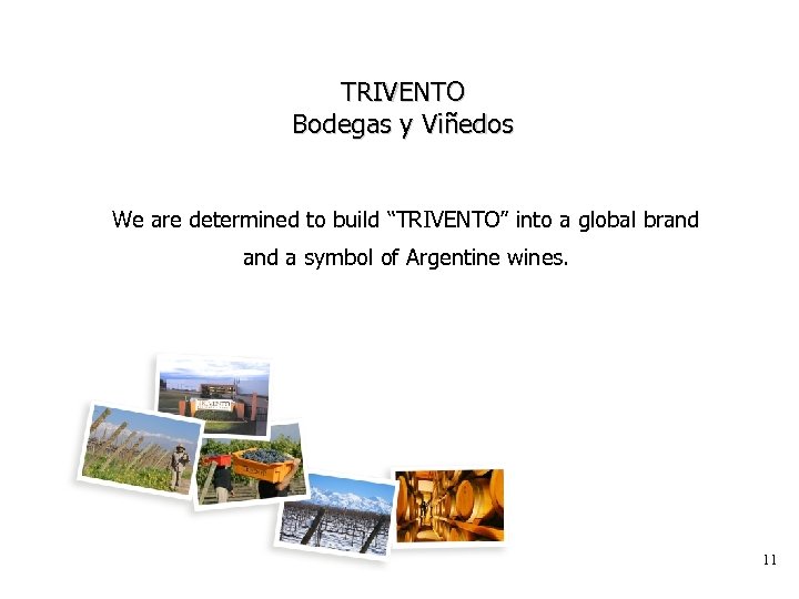 TRIVENTO Bodegas y Viñedos We are determined to build “TRIVENTO” into a global brand