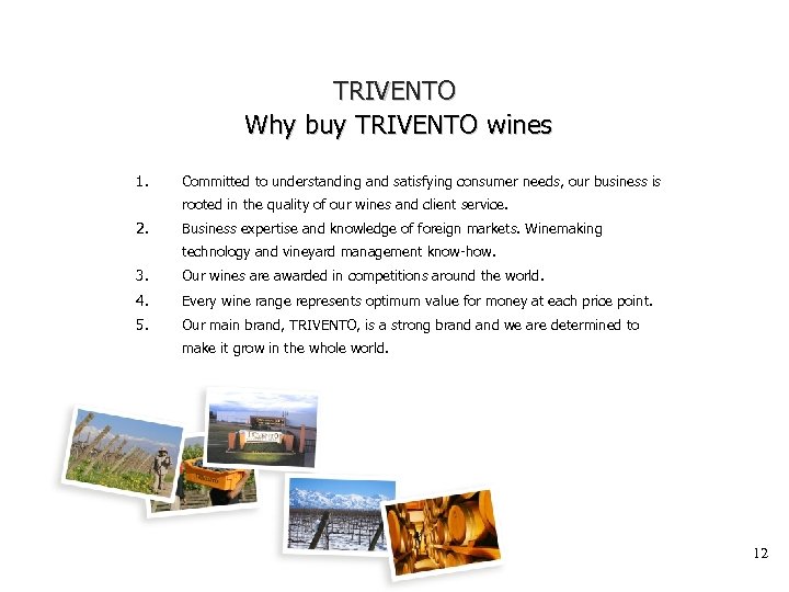 TRIVENTO Why buy TRIVENTO wines 1. Committed to understanding and satisfying consumer needs, our