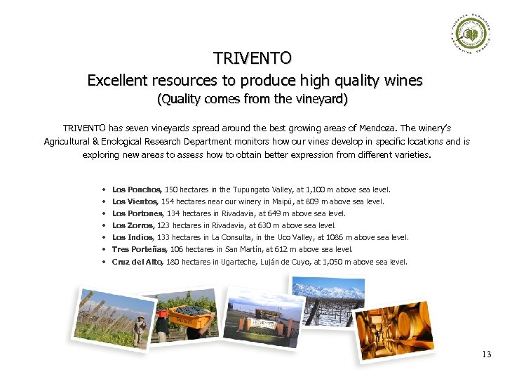 TRIVENTO Excellent resources to produce high quality wines (Quality comes from the vineyard) TRIVENTO