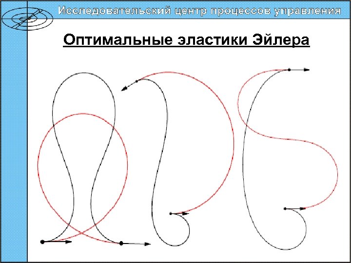 Оптимальные эластики Эйлера 56 