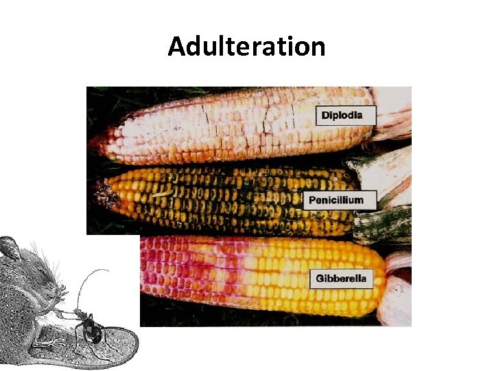 Adulteration 