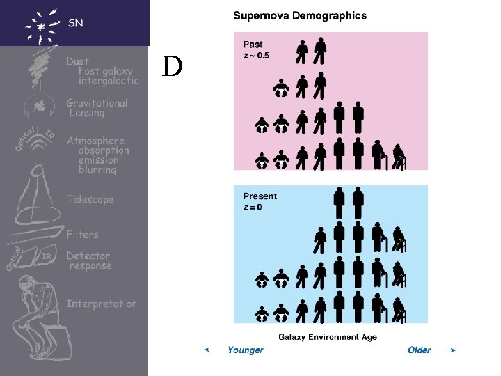 Demographics 