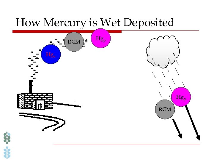 How Mercury is Wet Deposited RGM Hgp Hgo Hgp RGM 