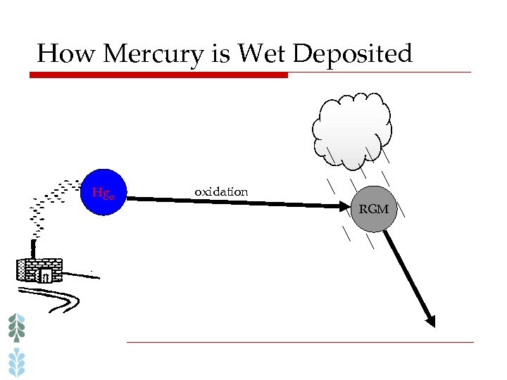 How Mercury is Wet Deposited Hgo oxidation RGM 