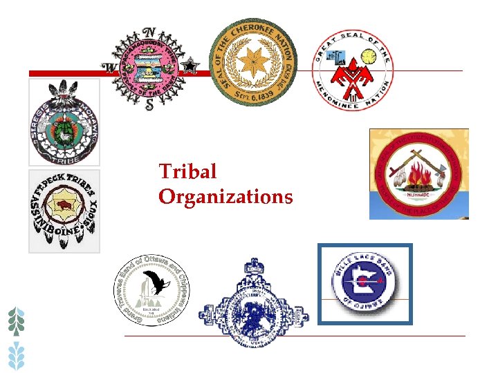 Tribal Organizations 