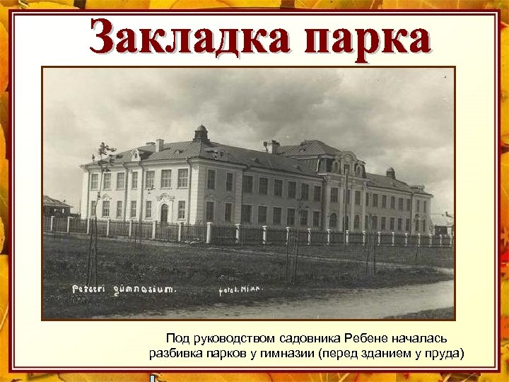 Под руководством садовника Ребене началась разбивка парков у гимназии (перед зданием у пруда) 