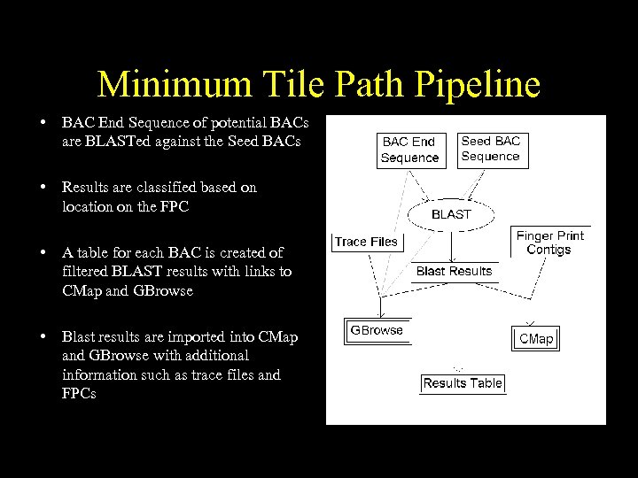 Minimum Tile Path Pipeline • BAC End Sequence of potential BACs are BLASTed against