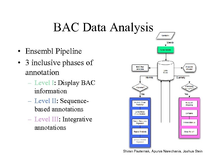 BAC Data Analysis • Ensembl Pipeline • 3 inclusive phases of annotation – Level