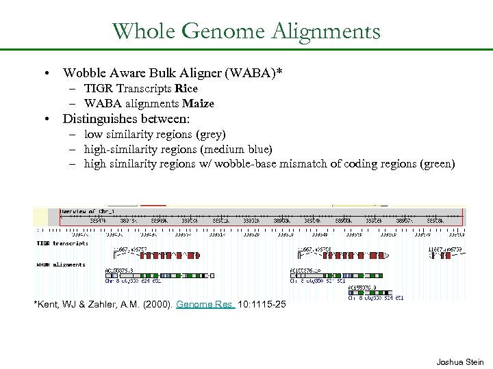 Whole Genome Alignments • Wobble Aware Bulk Aligner (WABA)* – TIGR Transcripts Rice –