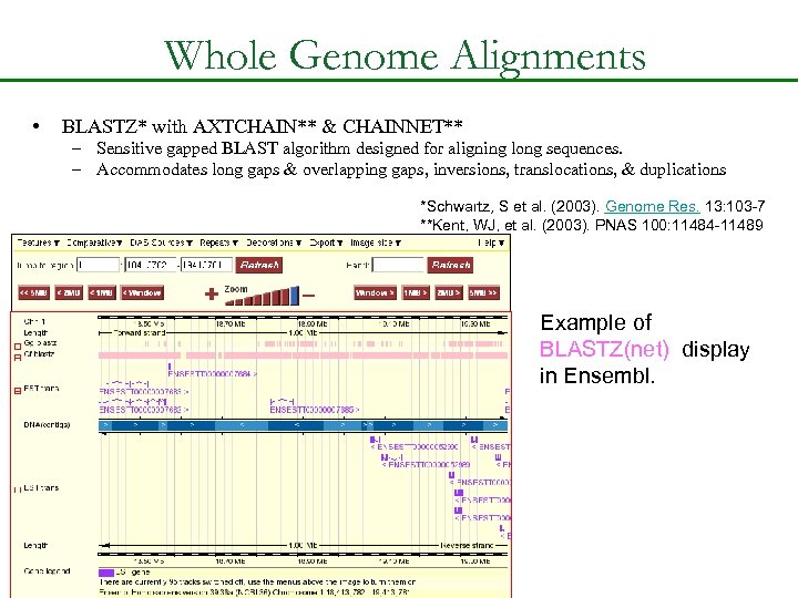 Whole Genome Alignments • BLASTZ* with AXTCHAIN** & CHAINNET** – Sensitive gapped BLAST algorithm