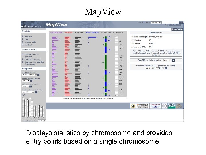 Map. View Displays statistics by chromosome and provides entry points based on a single