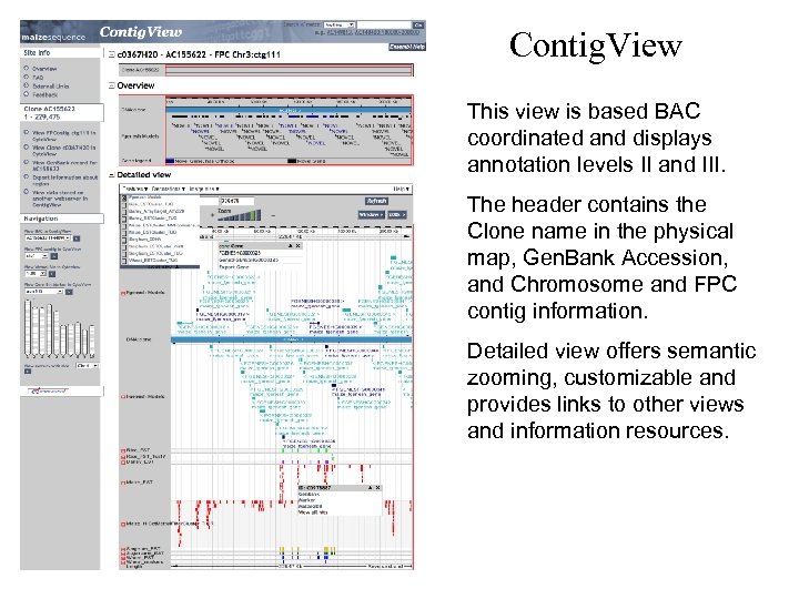 Contig. View This view is based BAC coordinated and displays annotation levels II and