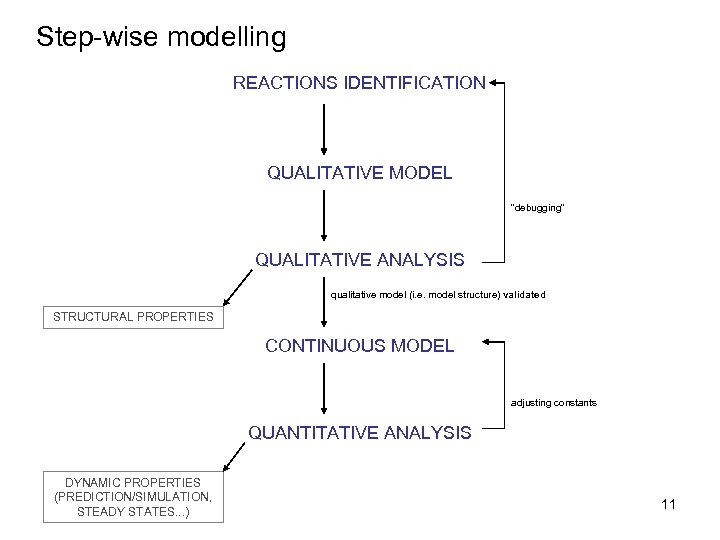 Step-wise modelling REACTIONS IDENTIFICATION QUALITATIVE MODEL ”debugging” QUALITATIVE ANALYSIS qualitative model (i. e. model