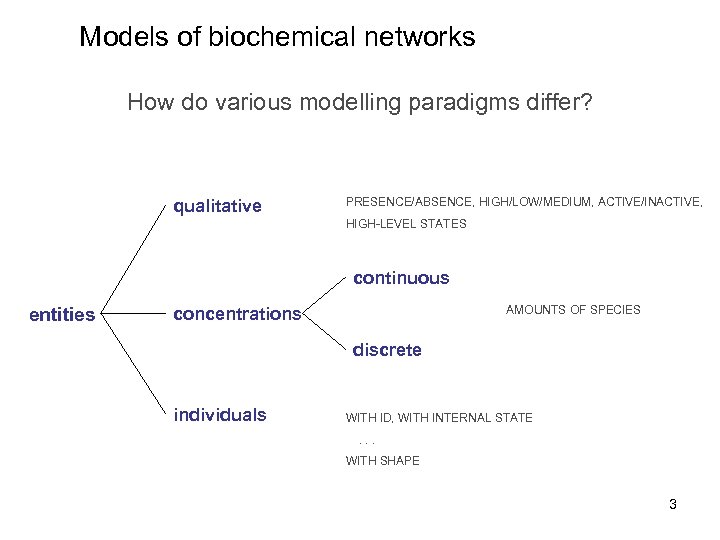 Models of biochemical networks How do various modelling paradigms differ? qualitative PRESENCE/ABSENCE, HIGH/LOW/MEDIUM, ACTIVE/INACTIVE,