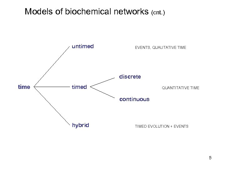 Models of biochemical networks (cnt. ) untimed EVENTS, QUALITATIVE TIME discrete timed QUANTITATIVE TIME