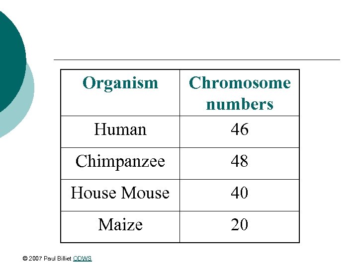 Organism Human Chromosome numbers 46 Chimpanzee 48 House Mouse 40 Maize 20 © 2007